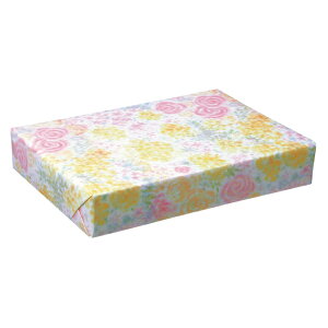  S t[X@100ybsOy[p[@Ɩpz