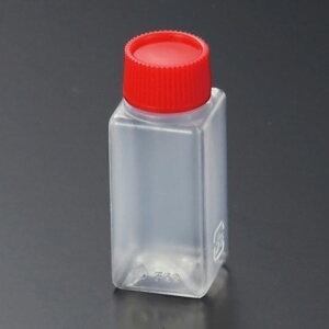 ^r@p(D)@6ml@100yݖ@傤@\[X@e@^@@󐬌`e@A eCNAEgz