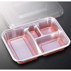 Hie@DXHS-31L Wt 100yٓe ĝ ٓ eCNAEge A e Ɩp@d؂z