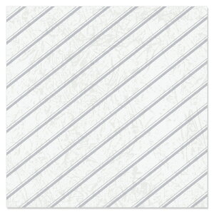  Qbv VL[ @100ybsOy[p[@ف@ˁ@Ɩpz