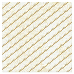  Qbv VL[ @100ybsOy[p[@ف@ˁ@Ɩpz