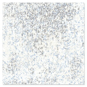  FDbv т @100ybsOy[p[@ngˁ@Ɩpz