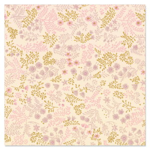  Pbv ͂@100ybsOy[p[@ف@ˁ@Ɩpz