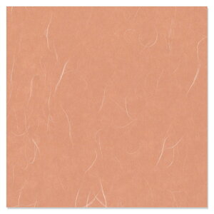  Bbv _ ׂ񂪂@50yabsOy[p[z