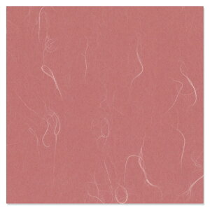  Bbv _ ݁@50yabsOy[p[z