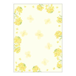 ap@a@؂̉ԁ@A4@10yPOPpAj[p@apz