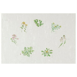 e[u}bg@T^Cv@T-102@t̎@100