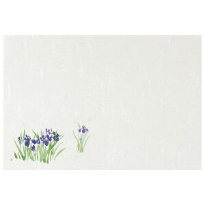 e[u}bg@T^Cv@T-110@qԁ@100