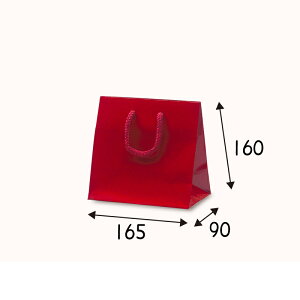 yP[X̔z܁@gobO@C@100@TCY 165×90×160mmyƖp@@񂰁@bsO@L@OX@򊴁z