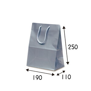 yP[X̔z܁@~jobO@Vo[@100@TCY 190×110×250mmyƖp@@񂰁@bsO@L@OX@򊴁z