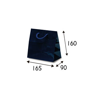 yP[X̔z܁@gobN@lCr[@100@TCY 165×90×160mmyƖp@@񂰁@bsO@L@OX@򊴁z