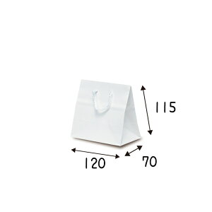 yP[X̔z܁@L[gobN@zCg@@100@TCY 120×70×115mmyƖp@@񂰁@bsO@L@OX@򊴁z