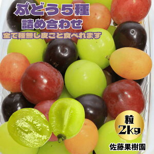 yHהׁzԂǂ5ilߍ킹 Hׂ₷ 햳炲 Ԃǂ uhE VC}XJbg NC[[W iKmp[v }XJT[eB[ Y XJ[bg k[x[
