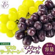 【スタートダッシュ9/19〜 20%クーポン】マスカサーティーン マスカットノワール 食べ比べギフトセット …