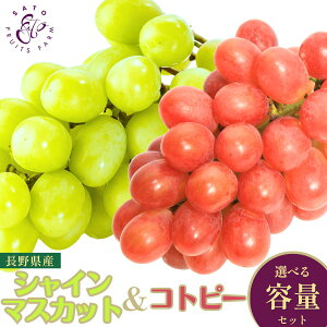 MtgZbg(VC}XJbg/Rgs[) 1kg`2kg  {s Ԃǂ Hה p v[g Ȃ 炲OK  lߍ킹y9{ȍ~z