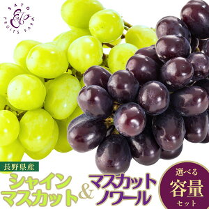 MtgZbg(VC}XJbg/}XJbgm[)  {s Ԃǂ Hה p v[g j Ȃ 炲OK  lߍ킹y9{ȍ~z