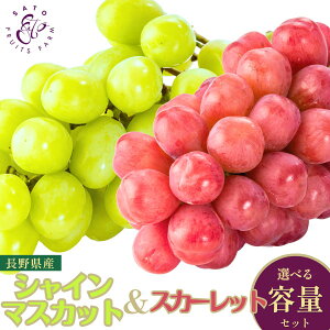 MtgZbg(VC}XJbg/XJ[bg)  {s Ԃǂ Hה p v[g Ȃ 炲OK  lߍ킹y9{ȍ~z