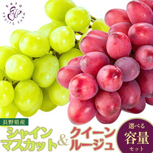 MtgZbg(VC}XJbg/NC[[W) 1kg`2kg  {s Ԃǂ Hה p v[g j Ȃ 炲OK  lߍ킹y9{ȍ~z