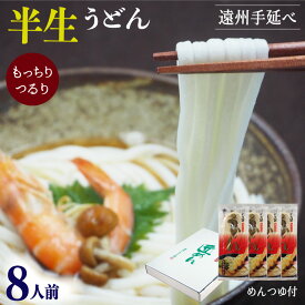 遠州手延べ 半生 うどん お得な4袋セット 1.08kg(270g×4袋) 約8人前 ギフト ぎふと お中元 お歳暮 母の日 贈りもの 半なま ウドン【産地直送】【送料無料】