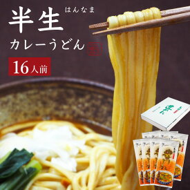 手延べ半生カレーうどん 遠州 手延べ麺 半生麺 約16人前 1.6kg(200g×8袋) スープ付 お得な8袋セット いなさの郷 ギフト ぎふと お中元 お歳暮 母の日 贈りもの 半なま うどん ウドン 産地直送】