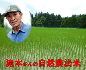 【新米 コシヒカリ】 [令和7年産 無農薬栽培米] 玄米 滝本さんのお米 30kg / 無農薬・無化学肥料栽培 自然農法 / 福井県産 / 玄米 / コシヒカリ / 無農薬 米 / 無農薬米 / 自然栽培 玄米 / 滝本米 / 有機肥料栽培米 / 無農薬玄米30K / 送料無料