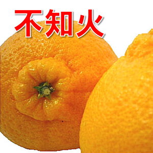 p sm 18~22i2.5kg×2)(2L~3L)yzlC̃fR|̓RN̂ÂƎ_̃oXQ/QY͈ꖡႤ fR| p  Q fR ʃ| sm 