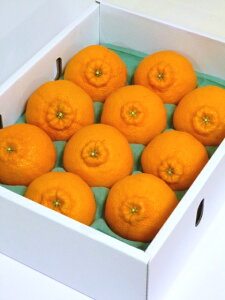 不知火 贈答用 18~22個(約2.5kg×2箱) 送料無料 人気のデコみかんはコクのある甘さと酸味のバランスが抜群/愛媛県産は一味違う デコポン と同品種 送料無料 愛媛 デコ 凸ポン 不知火 贈答用