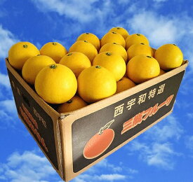 【訳あり】 日向夏 4.5kg 訳あり/家庭用 ニューサマーオレンジ 愛媛県産 農園直送 初夏のオレンジ 日向夏 気品のある甘い味わいと爽やかな香りのニューサマーオレンジ 訳あり 日向夏 送料無料 日向夏 訳あり/小夏/日向夏 みかん【smtb-TD】【saitama】