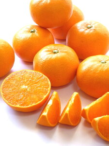 Ƃ p 20~24 5L QY TVGŐlC̑gk Ƃ/QY Ƃ/Q݂/Ƃ Q/Ƃ/Ƃ ݂/Q/ƂyƂ z yz ysmtb-TDz