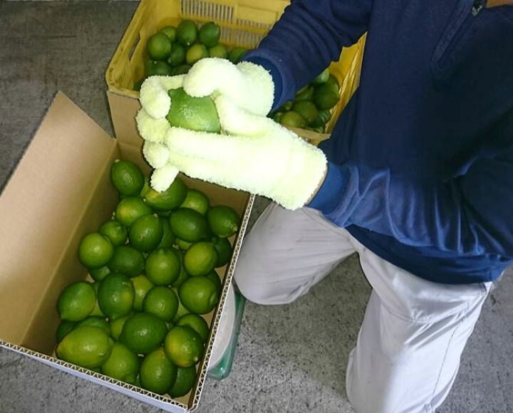 楽天市場】広島県瀬戸田産 無農薬レモン 10kg 【AB混合品】国産 