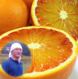 Y _ ubhIW ABi 5kg _Ew엿sgp ݂  ^bR ˓܂Ȃ݂̐˓cY ubhIW Y RLȓň _򊹋k w엿