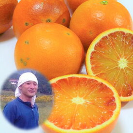 【訳あり】 国産 無農薬 ブラッドオレンジ 訳あり 5kg 農薬・化学肥料不使用 みかん 送料無料 瀬戸田産 ブラッドオレンジ 訳あり 自然豊かな島で育った 無農薬柑橘 無化学肥料 みかん/国産 ブラッドオレンジ 訳あり/タロッコオレンジ 国産【smtb-TD】【saitama】