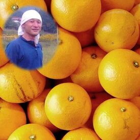 広島県産 無農薬 八朔 4.5kg 農薬・化学肥料不使用 はっさく みかん 送料無料 八朔みかん しまなみ 因島のとなりの瀬戸田産 はっさく 自然豊かな島栽培の 無農薬柑橘 無化学肥料 みかん/広島 ハッサク/八朔 送料無料 無農薬 はっさく 【smtb-TD】【saitama】