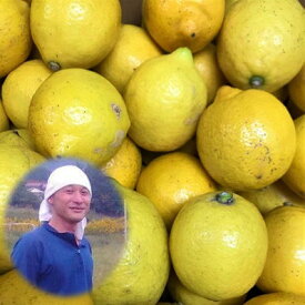 広島県瀬戸田産 無農薬レモン 3kg 家庭用/訳あり 国産 レモン 農薬 化学肥料 防腐剤 防カビ剤 不使用 ノーワックス レモン 青レモン 訳あり レモン 広島レモン 瀬戸田レモン レモン 無農薬 国産 瀬戸内 しまなみ レモン れもん 【smtb-TD】