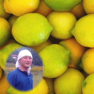 L˓cY _򃌃 3kg yABizY  _Ew엿sgp    m[bNX  h hJr sgp  L ˓c 