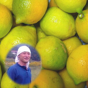 L˓cY _򃌃 5kg ƒp/󂠂 Y  _ w엿 h hJr sgp   m[bNX  󂠂  L ˓c  