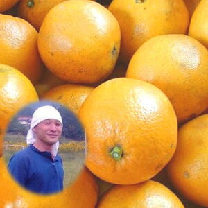 Y _sgp l[uIW 5kg _ w엿sgp m[bNX L@JAS@͔| ݂  ܂Ȃ݂̍L ˓cY l[uIW RLȓň _ l