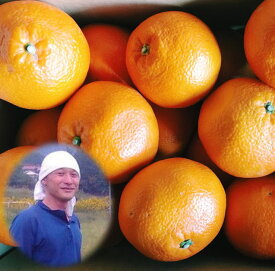 農薬不使用 伊予柑 約4.5kg 広島県産 宮内伊予柑 農薬・化学肥料不使用 自然豊かな島で育った 宮内伊予柑 【smtb-TD】【saitama】