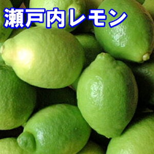 oג Y 3kg 炲ƐHׂ鍑Y h hJr sgp m[bNX   ˓́u̓v铇荑Y 𒼑 Y͔S S