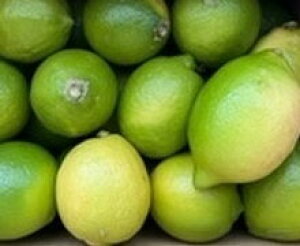 O[  10kg Yyz h܁Ehэܕsgp m[bNX  ˓́u̓v铇荑Y _ƒ 炲ƐHׂ郌̓{̊Â