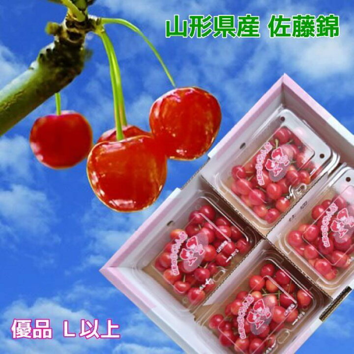 楽天市場】6月中旬発送/ さくらんぼ 佐藤錦 山形 大粒 L玉以上 800g 
