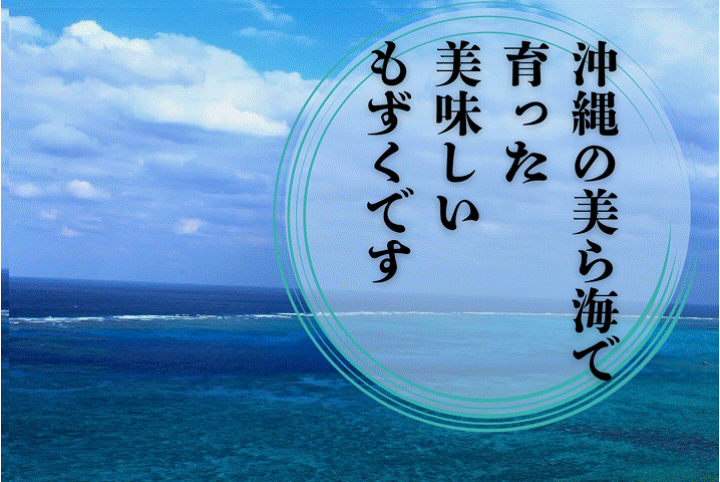 モグモグページ　おまとめ割引-1000 EPO-62-014 乗り物 はやい！しんかんせん 42/56/63ピース