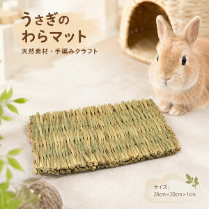 うさぎ ケージ セット」の人気商品一覧・価格比較 - 価格.com