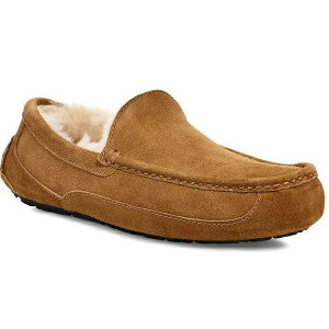 UGG AO AXRbg ASCOT Y JV [t@[ Xb|