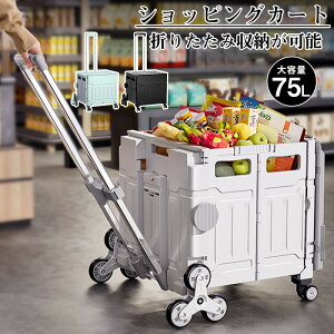 【お買い物マラソン限定★P5倍+OFF】軽量 ショッピングカート 大きめ静音タイヤ 75L キャリーカート コロコロ キャリーバッグ クーラーバッグ エコバッグ マイバッグ 折りたたみ 大容量 コン