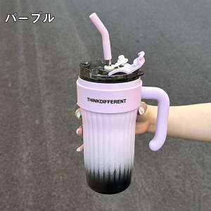  860ml ^fMP[^C}O ۉۗ }C{g ItBX wZ X|[c Ƃ  ~ ʊw ʋ w Z Lb`pi