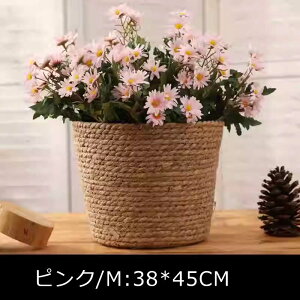 ̓ i v[gސEj ̓   d jd j v[g   vU[uht[ zCgf[ 20 30 40  av[g jd Mtg  a