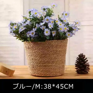 ̓ i v[gސEj ̓   d jd j v[g   vU[uht[ zCgf[ 20 30 40  av[g jd Mtg  a