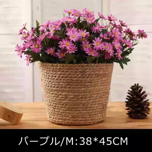 ̓ i v[gސEj ̓   d jd j v[g   vU[uht[ zCgf[ 20 30 40  av[g jd Mtg  a