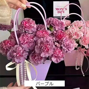 ̓MtgI؂₩Xv[J[l[V~bNX16{ԑI a@@v[gj ̓ ꂳ t[  N ސE  u[P veB}[Ch Ǝ ԑ 